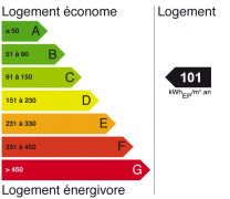 dpe 101