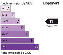 ges 11