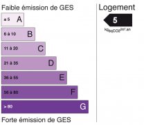 ges 5