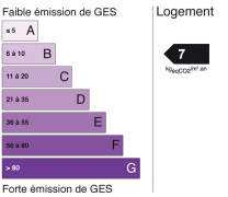 ges 7